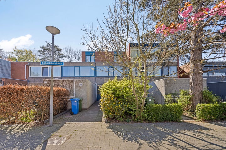 Scharlakendoorn 34 in Rotterdam