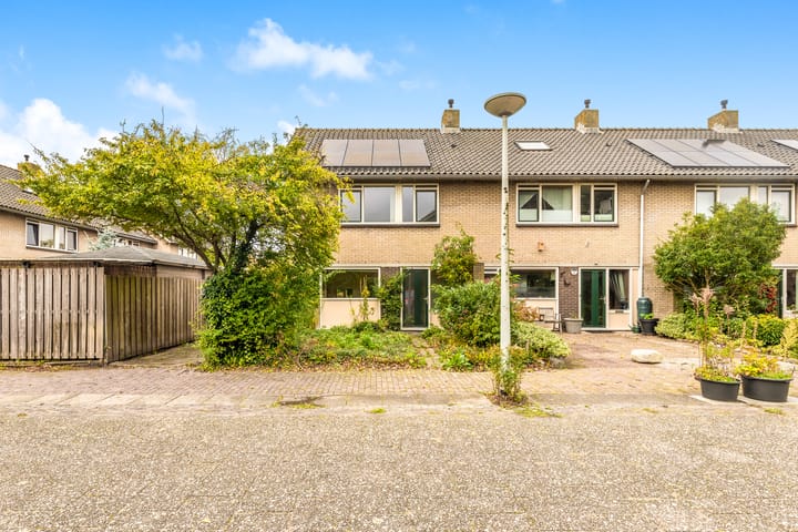 Scheerling 8 in Castricum foto