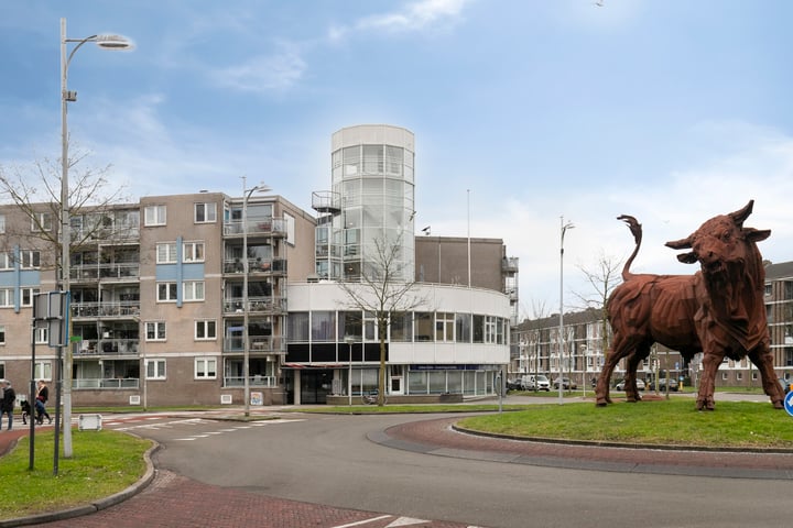 Scheltussingel 156 in Amersfoort foto