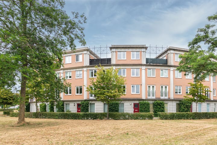 Schijfmos 15 in Houten