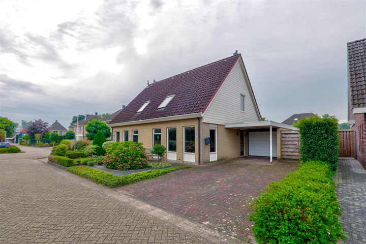 Schoener 24 in Nieuw-Amsterdam foto