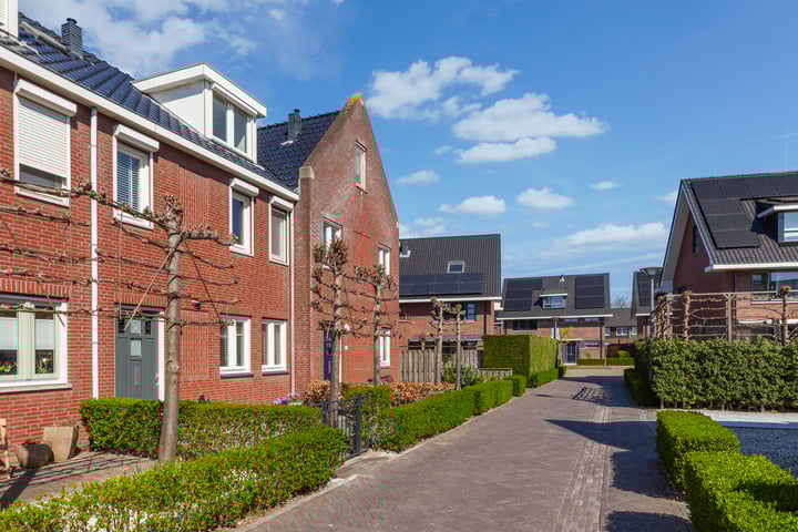 Schoener 3 in Alblasserdam foto
