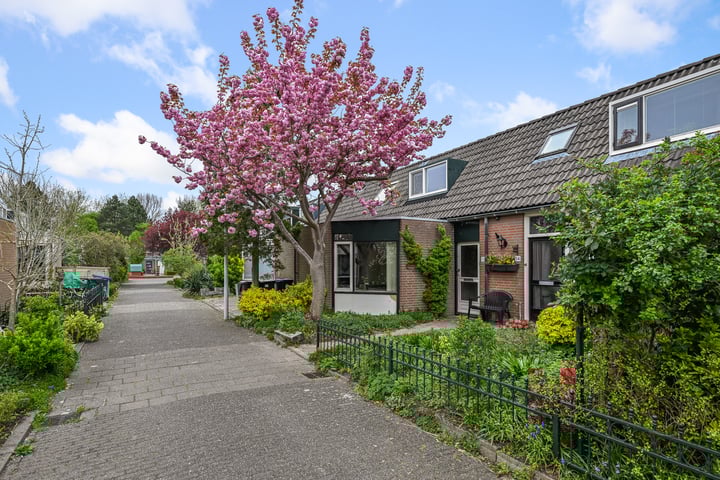 Schokkerhof 15 in Alkmaar foto