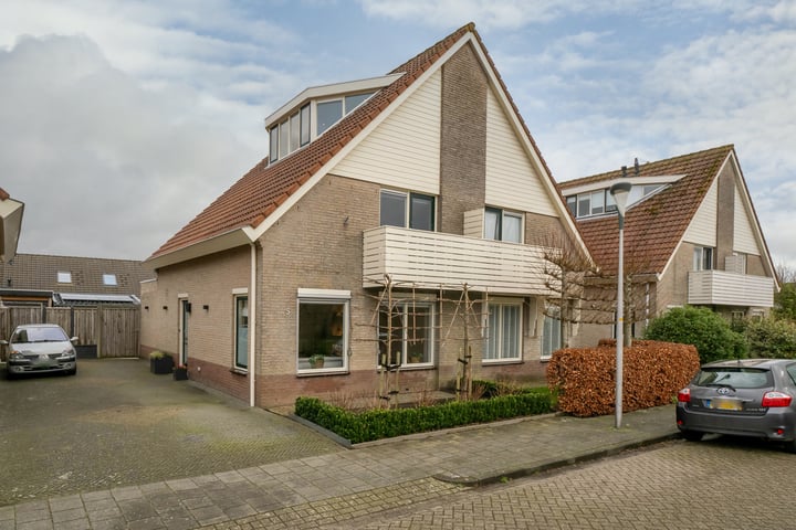 Scholekster 5 in Spanbroek foto