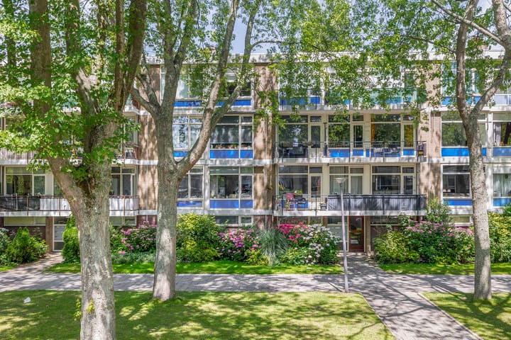 Schoonegge 311 in Rotterdam foto