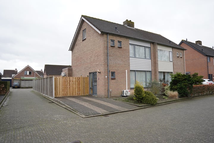 Schorpioen 10 in Oostburg foto