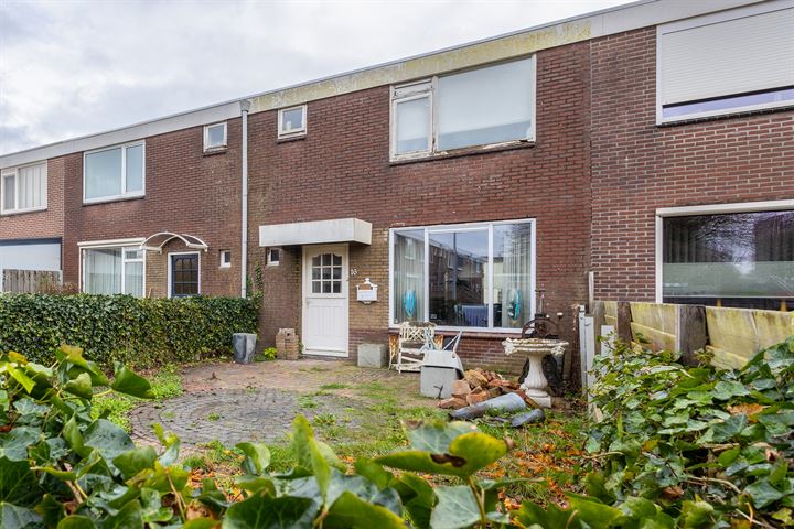 Schorpioen 16 in Hoogezand foto
