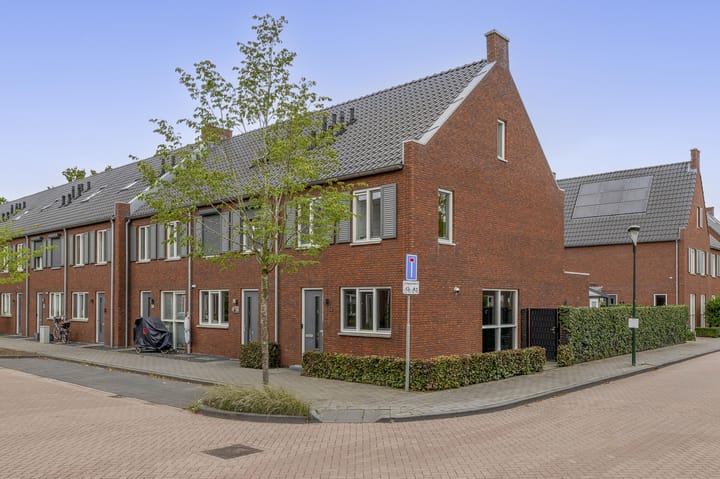 Schorpioen 53 in Schijndel foto
