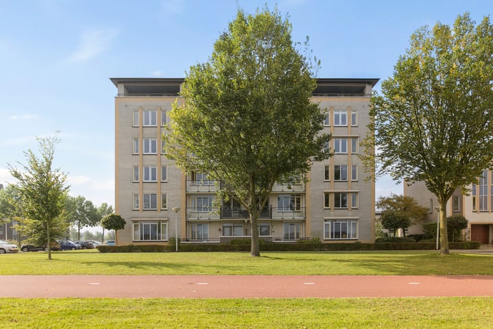 Schouw 17 in Bergen op Zoom foto