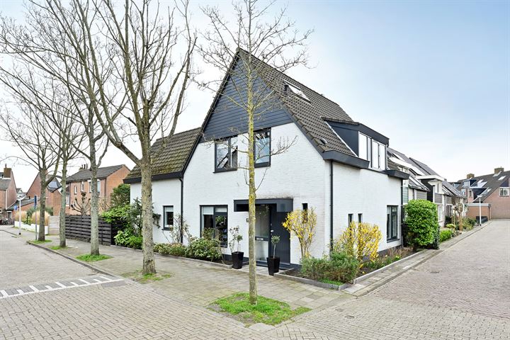 Schulpeinde 9 in Katwijk foto