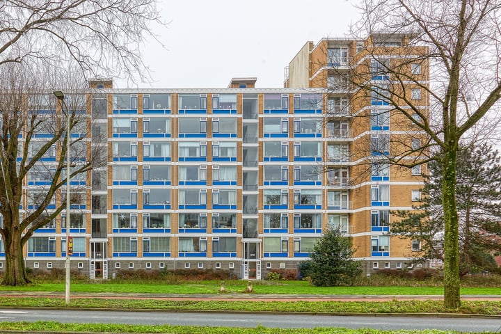 Segbroeklaan 412E in 's-Gravenhage foto