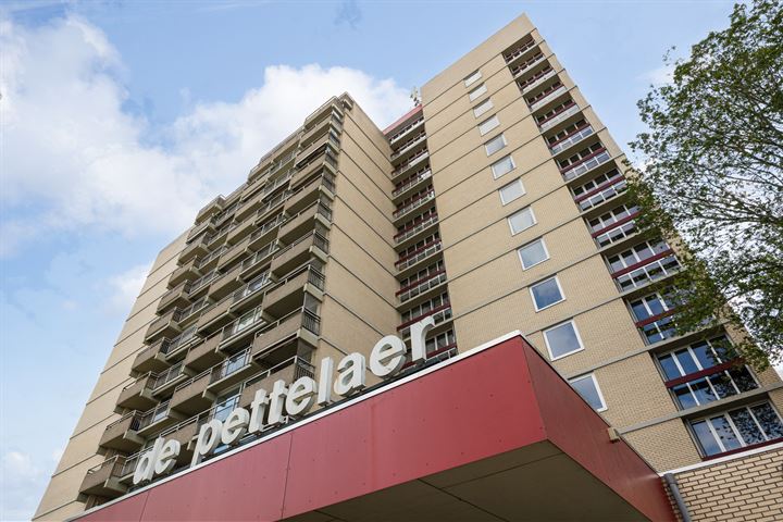 Senecalaan 82 in 's-Hertogenbosch foto