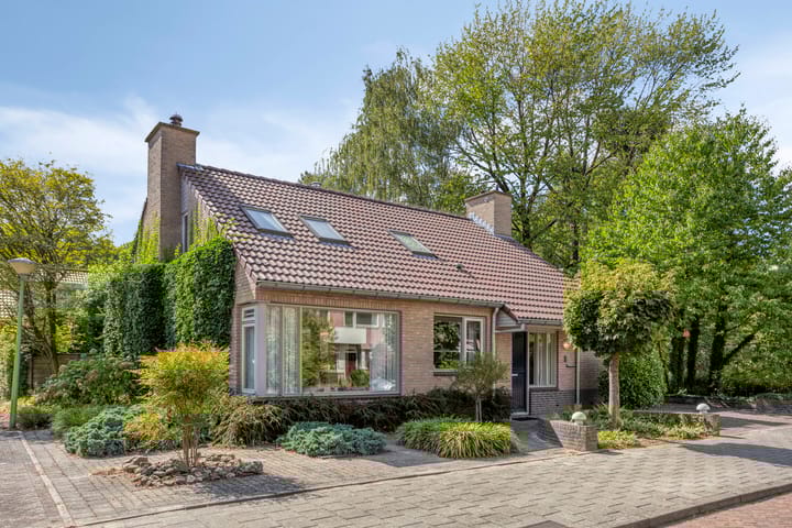 Serlioweg 5 in Eindhoven foto