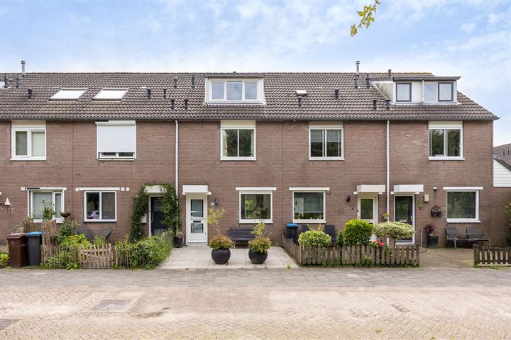 Seychellen 46 in Utrecht foto