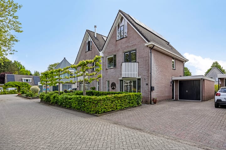 Sierduif 36 in Emmen