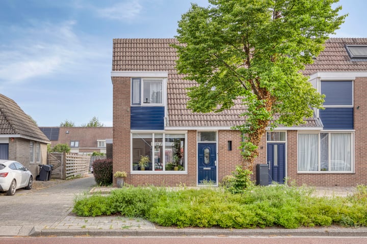 Silene 19 in Kampen foto