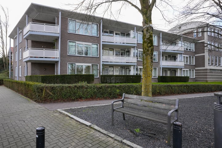 Sjwats Jris 2 in Vaals foto