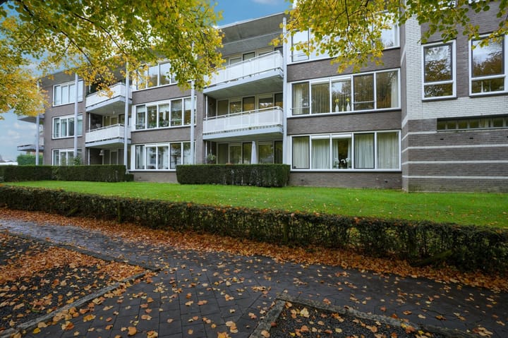 Sjwats Jris 38 in Vaals foto