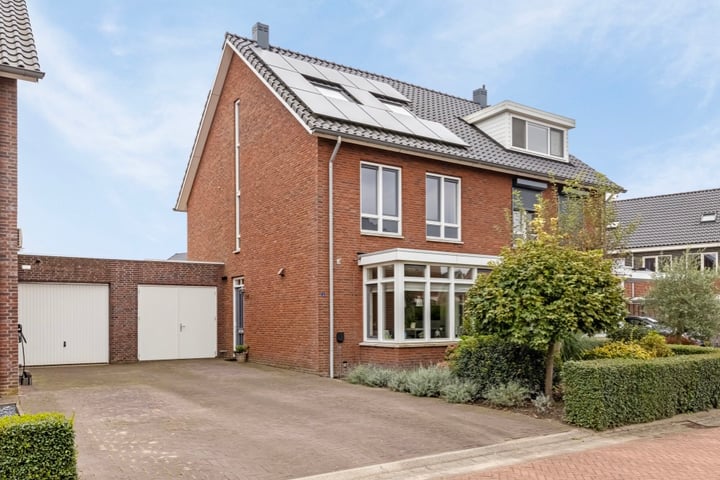 Slangenkruid 4 in Driel