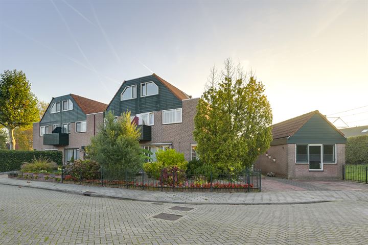 Slechtvalk 4 in Nieuwegein foto
