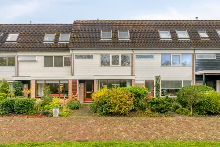 Sleutelbloem 19 in Castricum foto