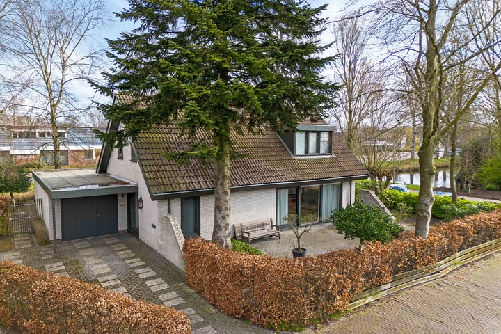 Sleutelbloem 2 in Leeuwarden foto