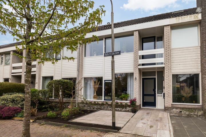 Sleutelbloem 39 in Leeuwarden foto