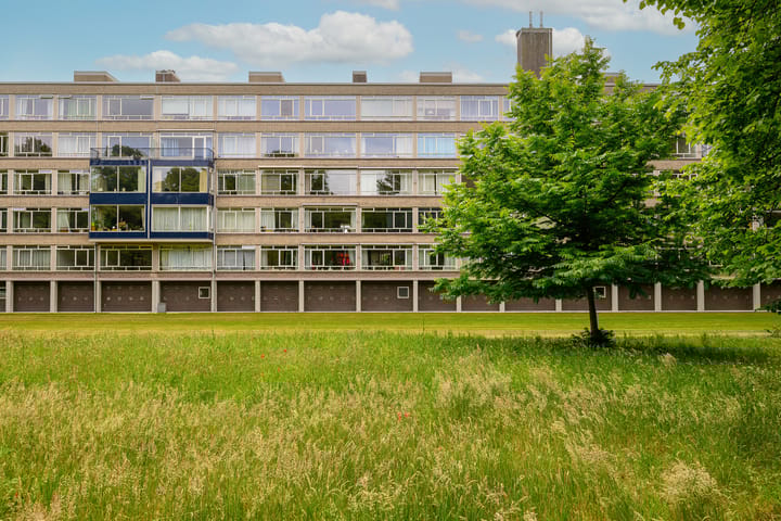Smaragdhorst 100 in 's-Gravenhage foto