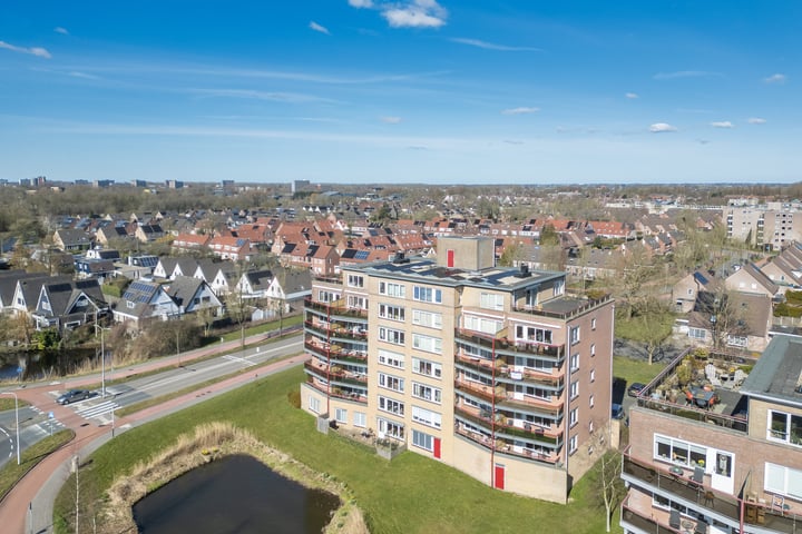 Smeetsmastins 40 in Leeuwarden foto