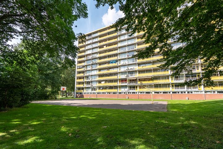 Smetanalaan 262 in Assen foto