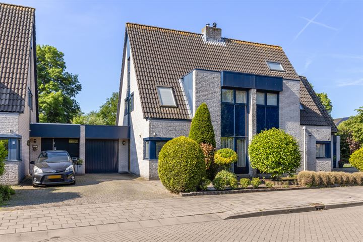 Smient 29 in Nieuwegein foto