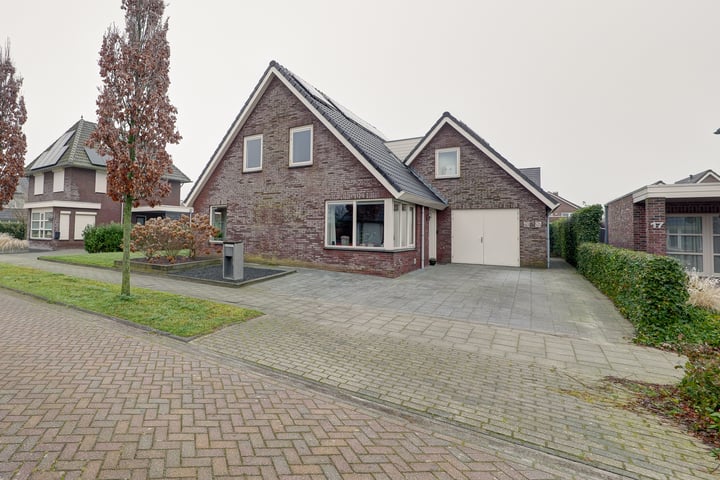Snavelbies 15 in Bovensmilde foto