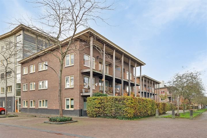 Snavelzegge 48 in Zwolle foto