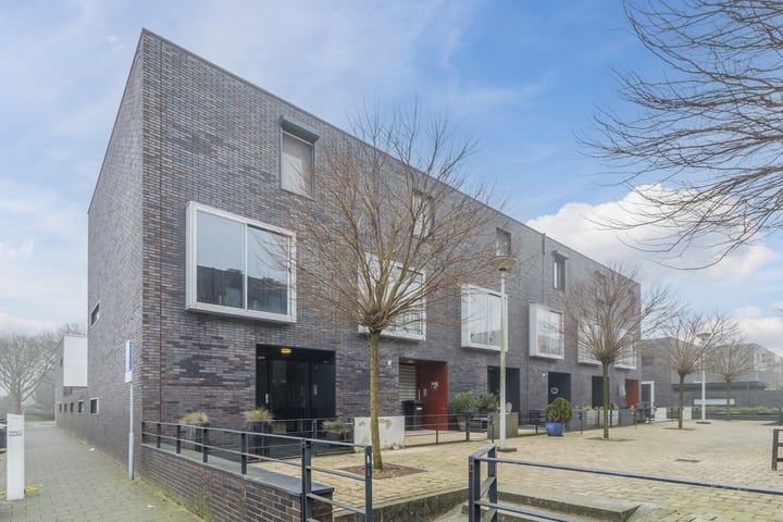 Sneeuwklokje 8 in Papendrecht foto