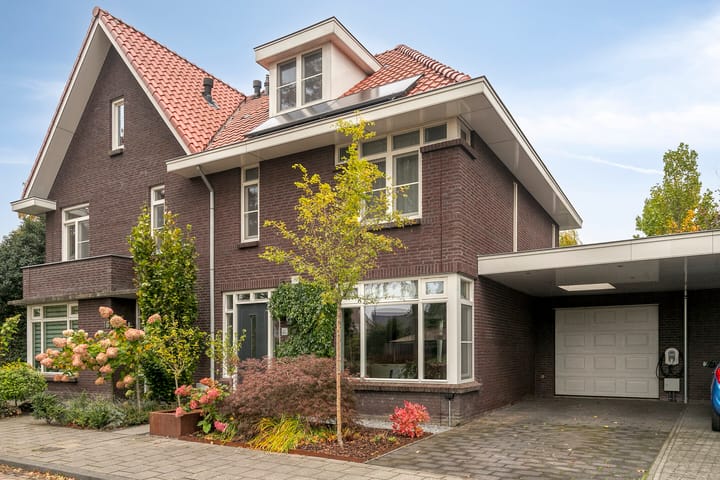 Sneeuwuil 14 in Mierlo