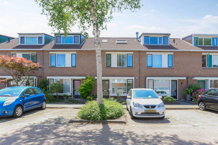 Sneeuwwit 33 in Zoetermeer foto