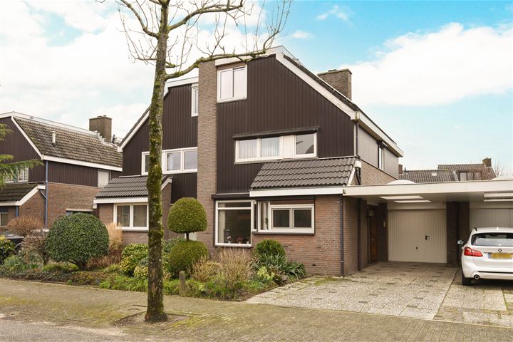Snoek 4 in Huizen foto