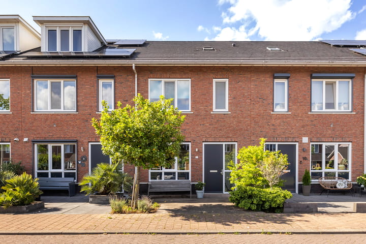 Snoek 9 in Hendrik-Ido-Ambacht foto