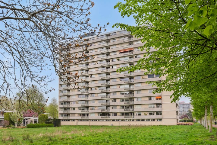 Socrateslaan 141 in 's-Hertogenbosch foto