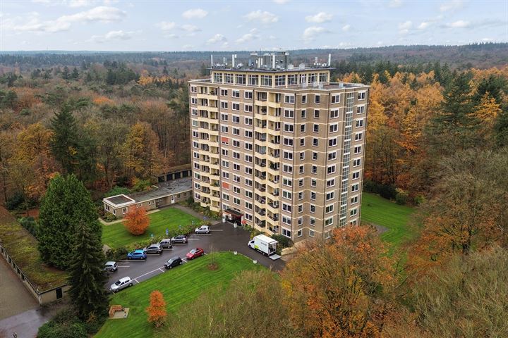 Soerenseweg 125-51 in Apeldoorn foto