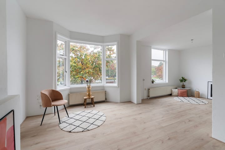 Soestdijksekade 828 in 's-Gravenhage foto