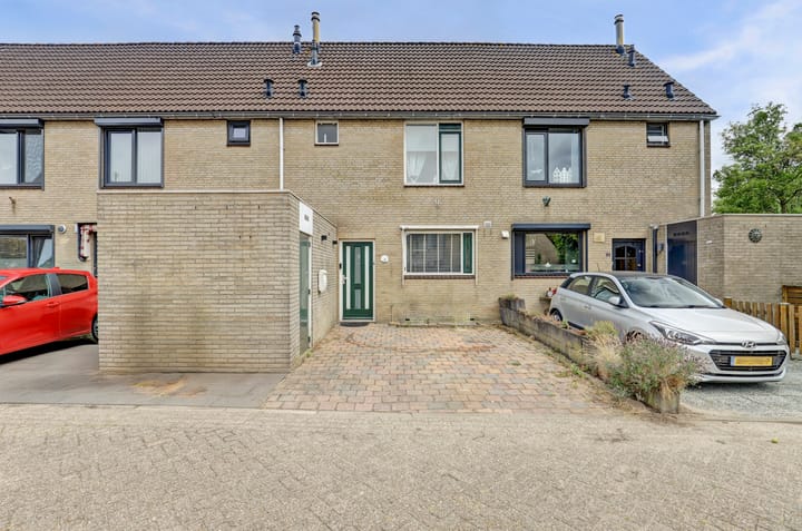 Speenkruid 4 in Hoogvliet Rotterdam foto