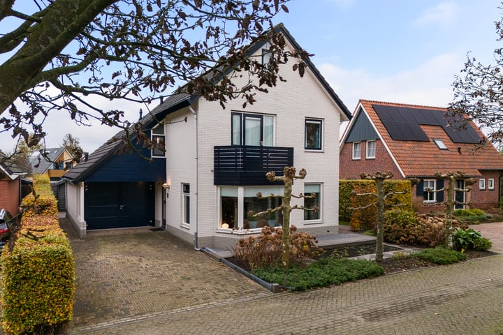 Spelt 12 in Ruurlo foto