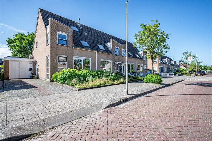 Sperwer 1 in Tollebeek foto