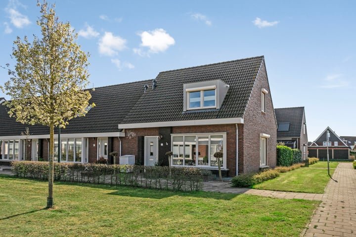 Spin 15 in Tholen foto