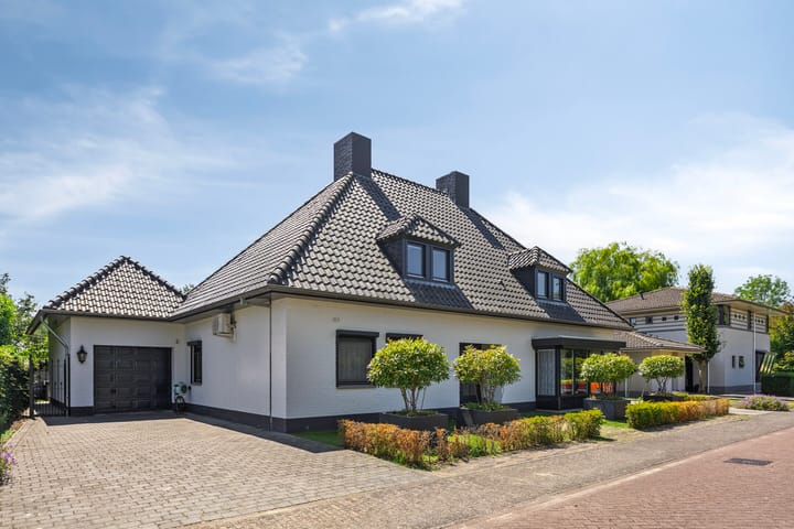 Spoorven 619 in Veghel