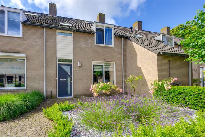 Sporkt 6 in Rijen foto