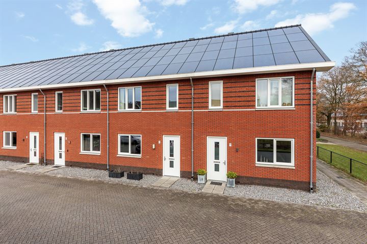 Sprinkhaan 23A in Hengelo foto
