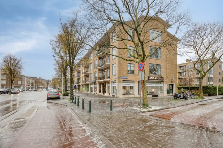 Stadhoudersplantsoen 96 in 's-Gravenhage