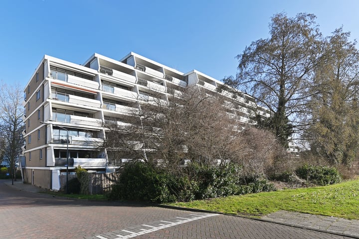 Stadzicht 33 in Leiden